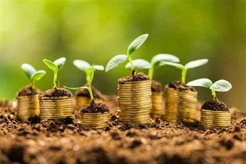 The Essentials of SMSF Auditing for Accountants